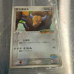 0601-310 ポケモンカード　ケンタロス