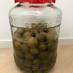 梅シロップを作ろう！