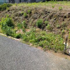 宅地の残土【無料】