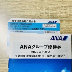ANA 全日空 株主優待
