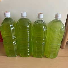 グリーンウォーター　種水 2000ml ✖️4メダカ 金魚 針子...