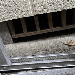 害獣対策ネット貼り - 害虫/害獣駆除