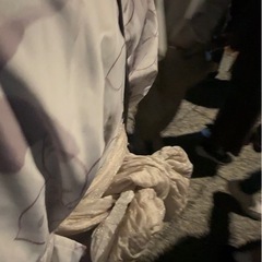 浴衣　セパレートの画像