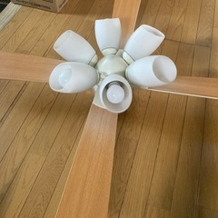 照明　ファン付き