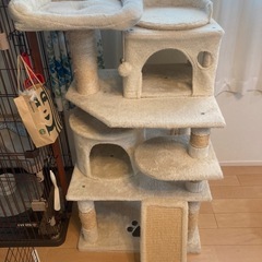 キャットタワー