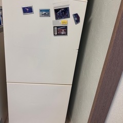 TWINBIRD冷蔵庫 動作品