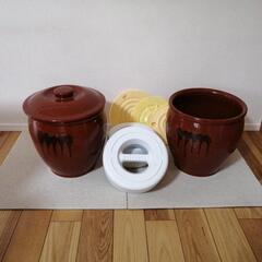 梅干し漬けるぞ　セットの画像