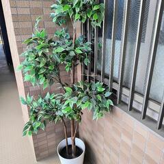 イケア　人工観葉植物　ベンジャミン　フェイク