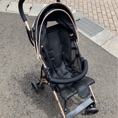 【超美品】バギーfanロングプラス+付属品セット