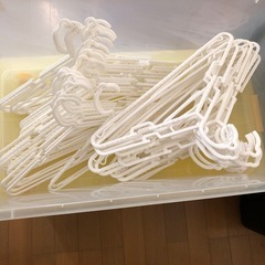 カインズ収納ケース1個&ハンガー62本の画像