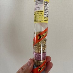 アメリカ　ひよこ　チョコレートの画像