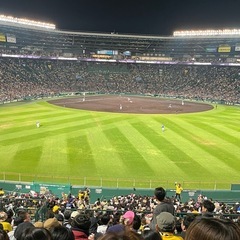 阪神の試合を見る会🐯