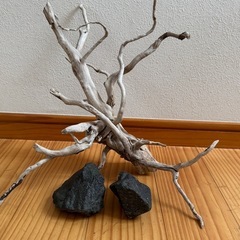 決まりました❗️ アクアリウム　レイアウト用流木と石2個 の画像