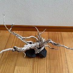 決まりました❗️ アクアリウム　レイアウト用流木と石2個 の画像