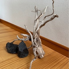 決まりました❗️ アクアリウム　レイアウト用流木と石2個 の画像