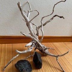 決まりました❗️ アクアリウム　レイアウト用流木と石2個 の画像