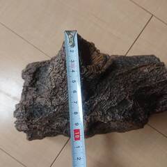 小動物用シェルターの画像