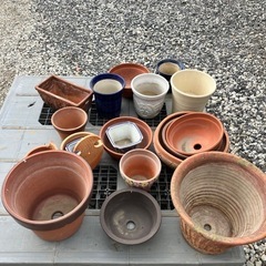 無料❗️植木鉢まとめて　サイズ混在　ガーデニング材の画像