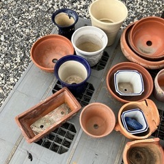 無料❗️植木鉢まとめて　サイズ混在　ガーデニング材の画像