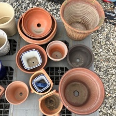 無料❗️植木鉢まとめて　サイズ混在　ガーデニング材の画像