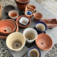 無料❗️植木鉢まとめて　サイズ混在　ガーデニング材の画像