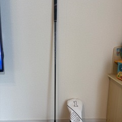 ゴルフ⛳️ ドライバー