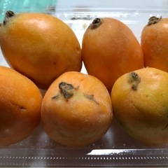 格安　びわ