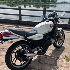 初期型RZ250   他車興味ありますの画像