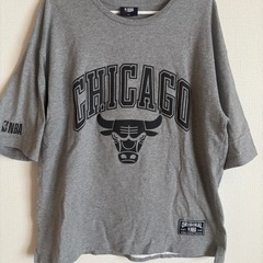 レア NBA Chicago Bulls Tシャツ グレー 希少
