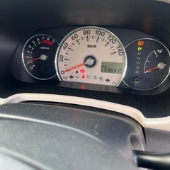 平成25年ココアプラスの画像