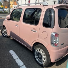 平成25年ココアプラスの画像