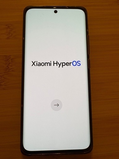 Xiaomi 12X グローバル版 128GB グレー