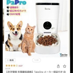 自動給餌器　犬　猫の画像