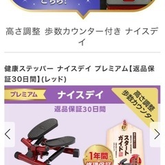 ナイスデイ　ハンドル付きの画像