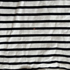 センスオブプレイス5分丈ボータTシャツの画像