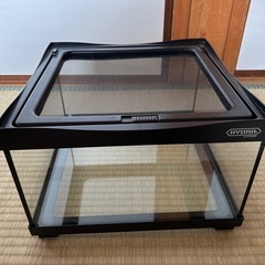 爬虫類ガラスゲージ