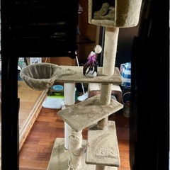 キャットタワー　中古
