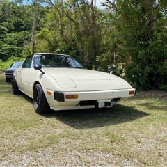 サバンナ　SA22C