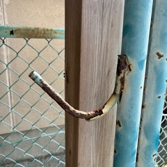 物干し台の画像