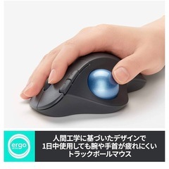 マウスの画像