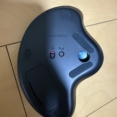マウスの画像