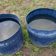 【雨水ためるタンク】探してます