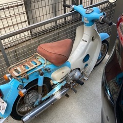 リトルカブ