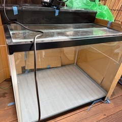 60センチ水槽
