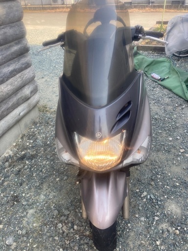 マジェスティ125 キャブ車