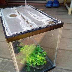 【再値下げしました】水槽の画像
