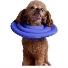 【新品】ペット用　エリザベスカラー　XSサイズの画像