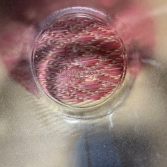 ローソン　リラックマ　ガラス　お皿　4枚セット　そうめんやサラダにの画像