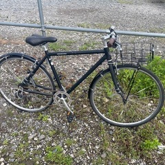 自転車　ロード