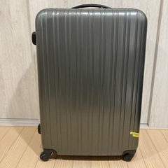 でっかいキャリーケース